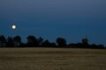 Moon over windmill and a cornfield Royalty Free Stock Photo