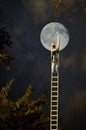 Moon Painting Ladder