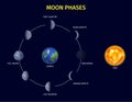 Moon Phases Infographic Set