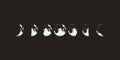 Moon phases set, realistic graphic symbols, vector illustration