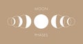 Moon phases vector background