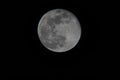 Mesiac portrét plný pondelok v noc 