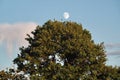 Moon rise in blue sky observing and clouds Royalty Free Stock Photo