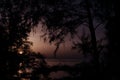 Moon rise at tropical lakeside among trees