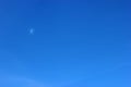 The moon rising in the blue sky in the twilight Royalty Free Stock Photo