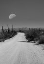 Moon rising Desert Road Sonora desert Arizona Royalty Free Stock Photo