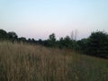 Moon rising over the hill Royalty Free Stock Photo