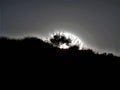 The Moon Rising Over The Hill Royalty Free Stock Photo