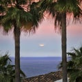 Moon rising over the sea Royalty Free Stock Photo