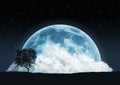 Moon romantic landscape illustration