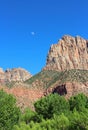 Watchman Mountain, Zion National Park Royalty Free Stock Photo