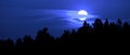 Moon Setting Over Pine Trees Forest Wilderness Peaceful Nature Royalty Free Stock Photo