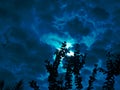 The  moon shadow with plant and night clouds Royalty Free Stock Photo