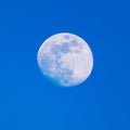 The moon shines against the blue sky Royalty Free Stock Photo