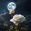 A moon shining brightly in the sky with a single white 3d rose growing.