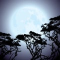 Moon and silhouettes of tree branches Royalty Free Stock Photo