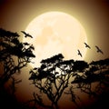 Moon and silhouettes of tree branches Royalty Free Stock Photo