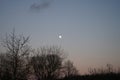 The moon is in the sky over a beautiful December landscape. Berlin, Germany Royalty Free Stock Photo