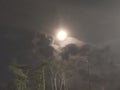 Moon in the sky of reclaimed forest with a layer of mined waste