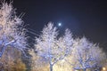 The moon in the sky. Street lamp. Night city skyline. Severe frost. Beauty of nature Royalty Free Stock Photo