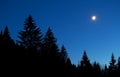 Moon and star sky over forest silhouette at night