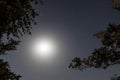 Moon and stars in the night sky at night Royalty Free Stock Photo