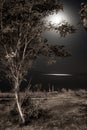 Moon and stars in the night sky and reflections in the sea Royalty Free Stock Photo