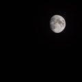 Moon Timelapse, Stock time lapse : Full moon rise in dark nature sky, night time. Full moon disk time lapse with moon light up in