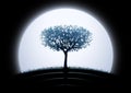 Moon tree silhouette