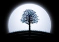 Moon tree silhouette