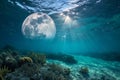 Moon under ocean Royalty Free Stock Photo