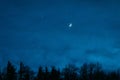 Moon and Venus over the Trees Royalty Free Stock Photo