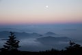 Moon watches Sea of clouds at Sunrise