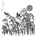 Moon wind grasses bird image Royalty Free Stock Photo