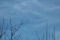Moon on a Winter Blue Sky Royalty Free Stock Photo