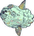 Moonfish or molamola fish - ink drawing. Hand drawn graphic design isolated element. Vector illustration