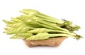 Moonflower in basket on white background Royalty Free Stock Photo