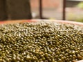 moong dal isolated stock images