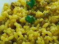 Moong dal khichdi Royalty Free Stock Photo