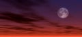 Moonlight background 2 Royalty Free Stock Photo