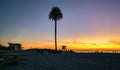 Moonlight Beach, Encinitas California. Silhouette of palm tree and beachgoers at sunset Royalty Free Stock Photo