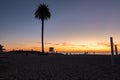 Moonlight Beach, Encinitas California. Silhouette of palm tree and beachgoers at sunset Royalty Free Stock Photo