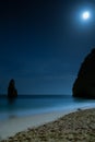 Moonlight at the beach with moon Royalty Free Stock Photo