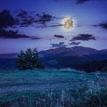 Moonlight beams in highland Royalty Free Stock Photo