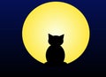 Moonlight cat