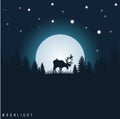 Moonlight Deer At Night