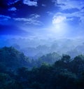 Moonlight in the jungles Royalty Free Stock Photo