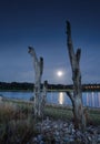 Moonlight lakeside