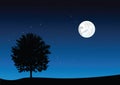 Moonlight landscape Royalty Free Stock Photo