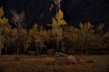 Moonlight night in the Altai Mountains